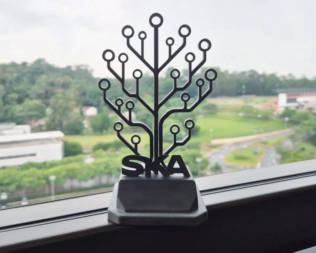 SKA Awards divulga os destaques do ano no ChurraSKAda 2025